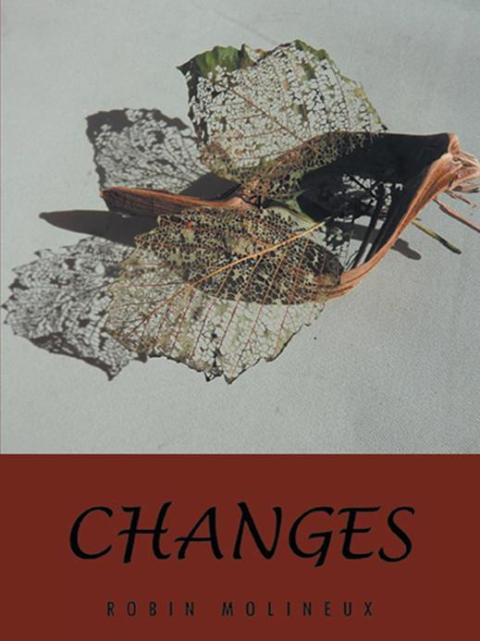Cover image for book Changes