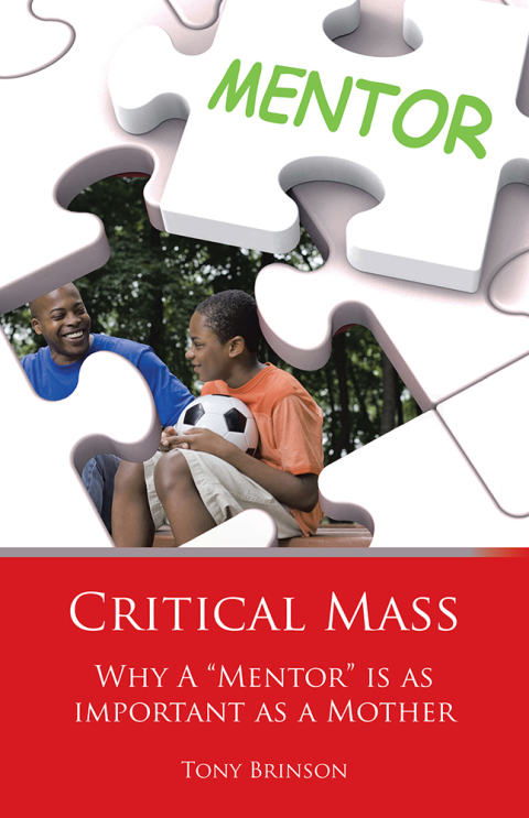 Cover image for book Critical Mass