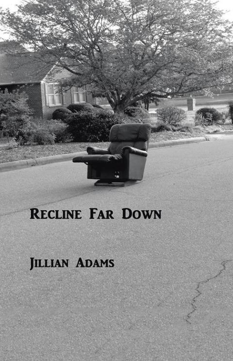 Cover image for book Recline Far Down