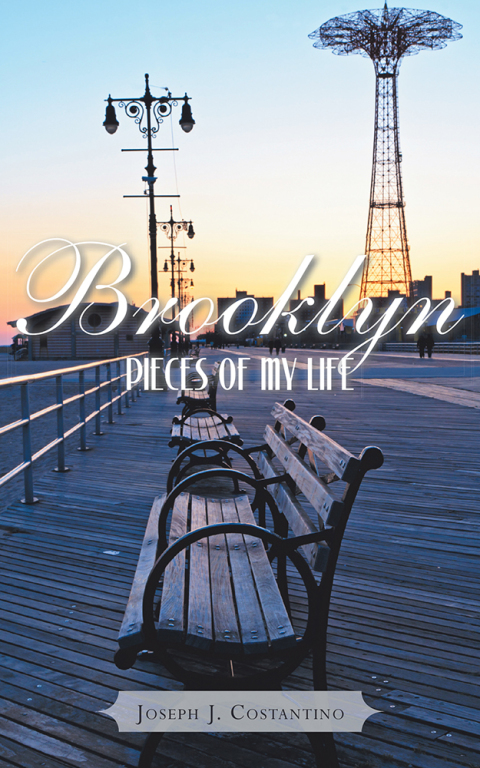 Cover image for book Brooklyn Pieces of My Life