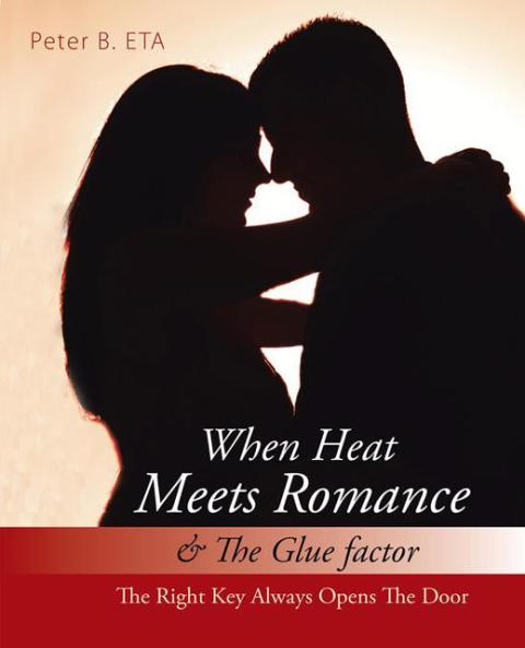 Cover image for book When Heat Meets Romance & the Glue Factor