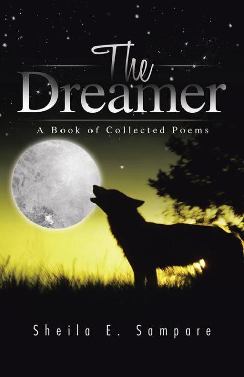 Cover image for book The Dreamer