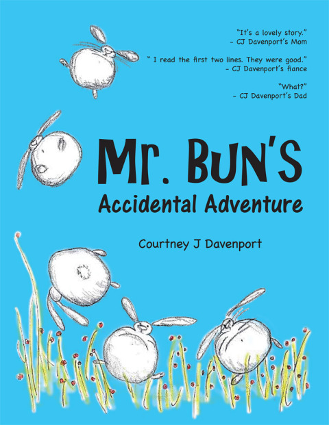 Cover image for book Mr. Bun's Accidental Adventure