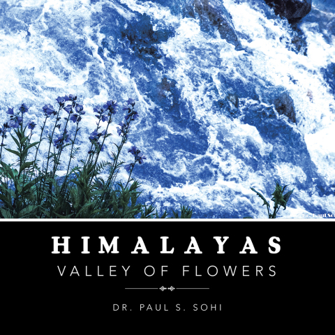 Cover image for book Himalayas