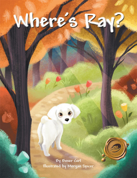 Cover image for book Where's Ray?