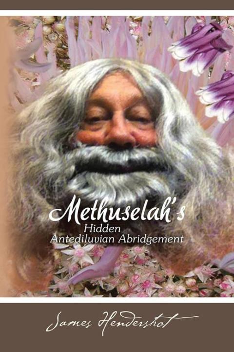 Cover image for book Methuselah's Hidden Antediluvian Abridgement