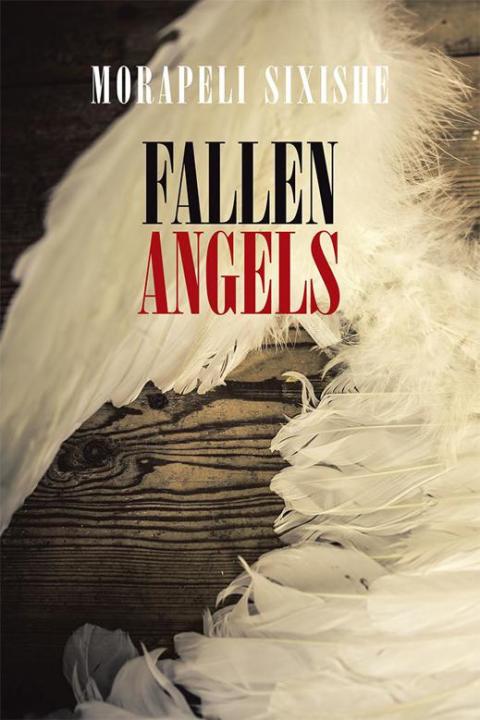 Cover image for book Fallen Angels