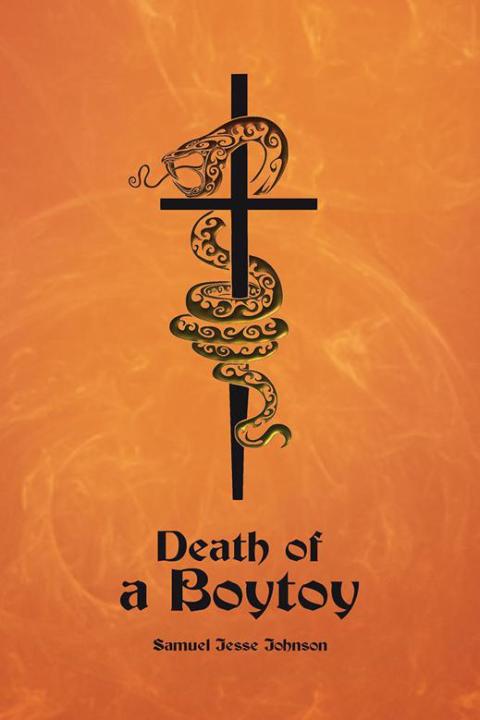 Cover image for book Death of a Boytoy