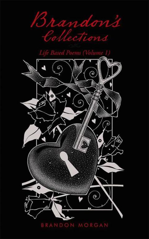 Cover image for book Brandon's Collections