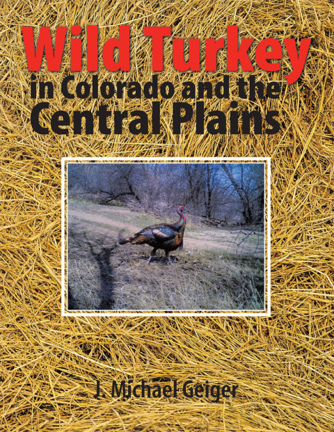 Cover image for book Wild Turkey in Colorado and the Central Plains
