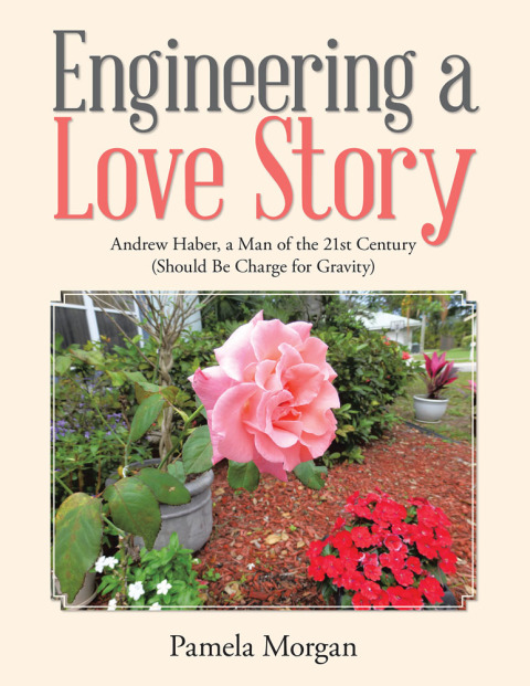 Cover image for book Engineering a Love Story