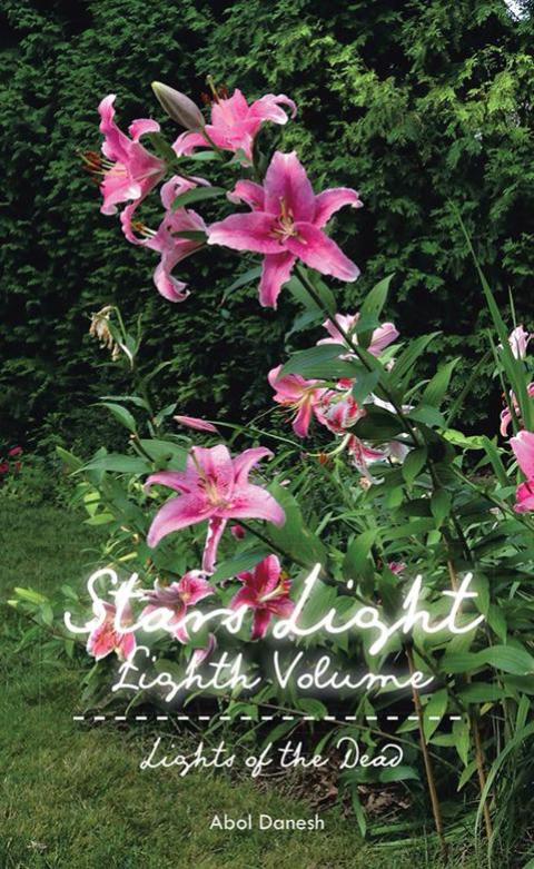 Cover image for book Stars Light: Eighth Volume