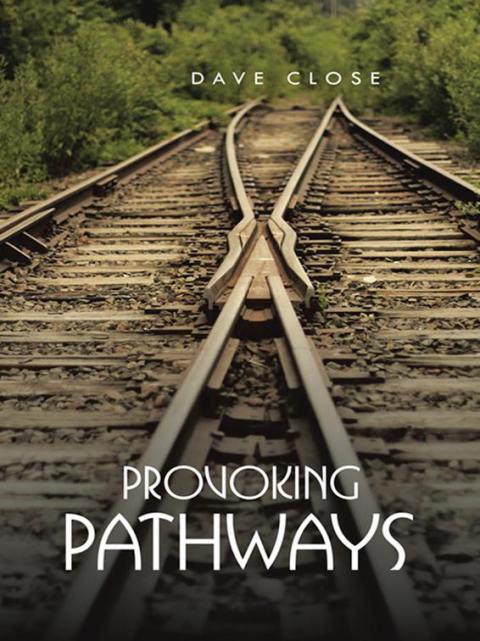 Cover image for book Provoking Pathways