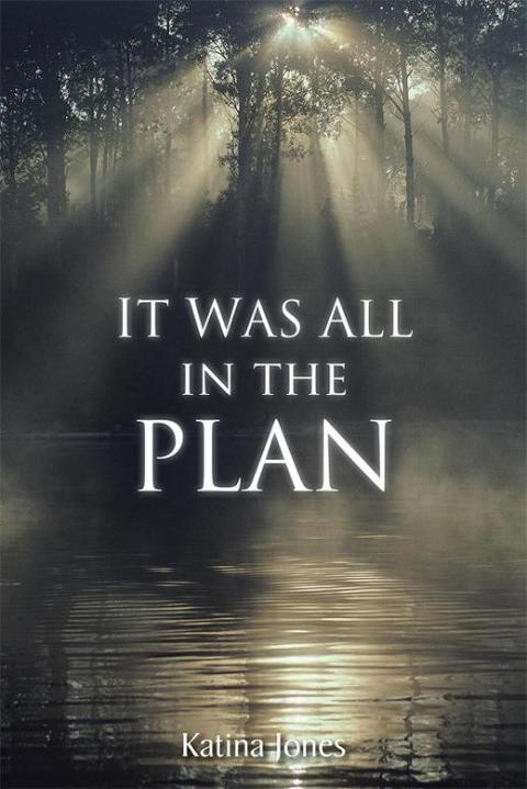 Cover image for book It Was All in the Plan