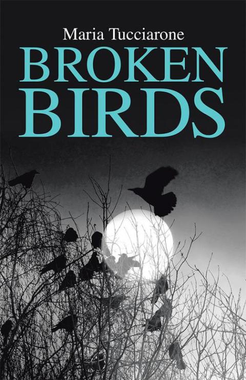Cover image for book Broken Birds