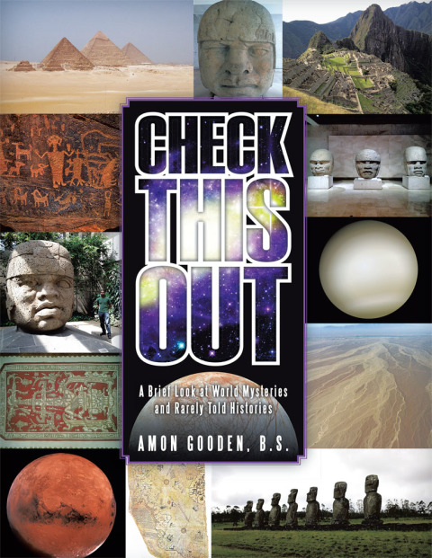 Cover image for book Check This Out