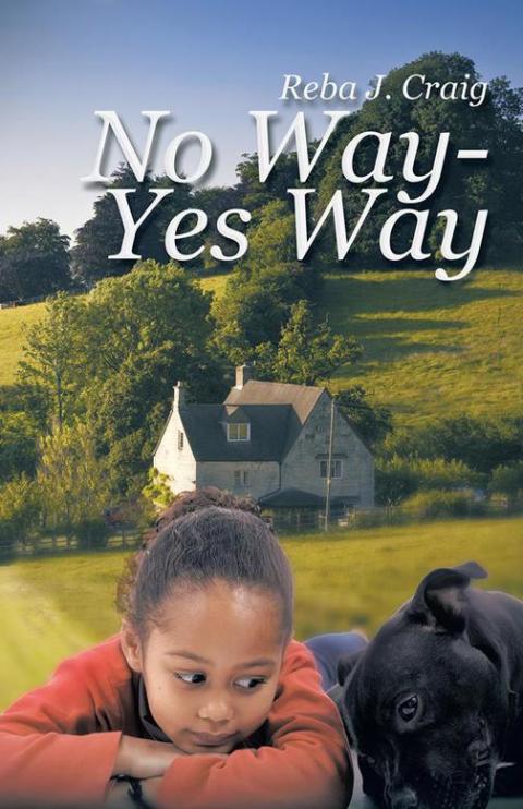 Cover image for book No Way - Yes Way