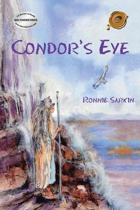 Cover image for book Condor's Eye