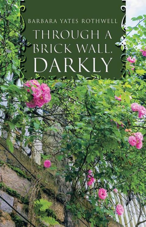 Cover image for book Through a Brick Wall, Darkly