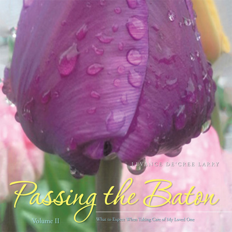 Cover image for book Passing the Baton