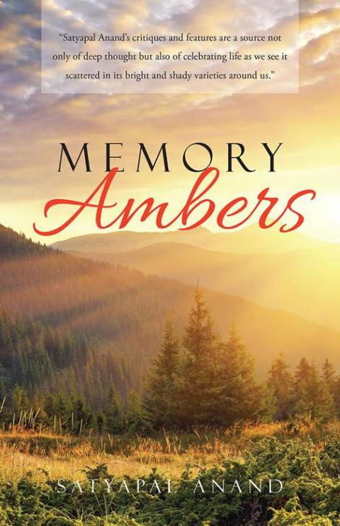 Cover image for book Memory Ambers