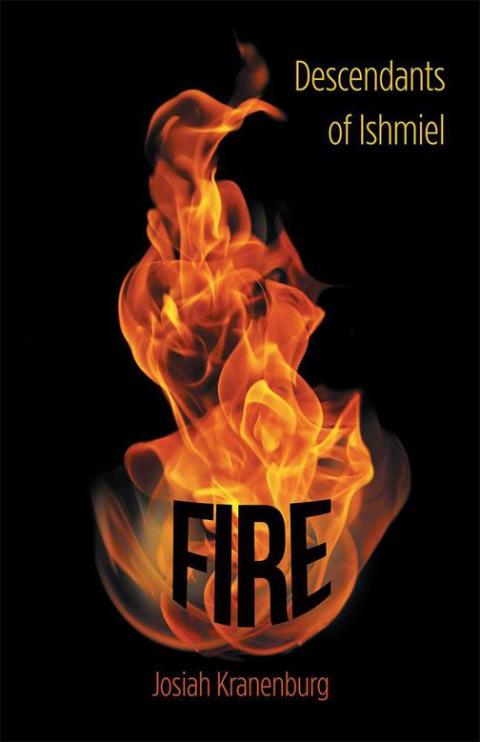 Cover image for book Fire