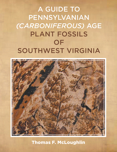 Cover image for book A Guide to Pennsylvanian Carboniferous-Age Plant Fossils of Southwest Virginia.