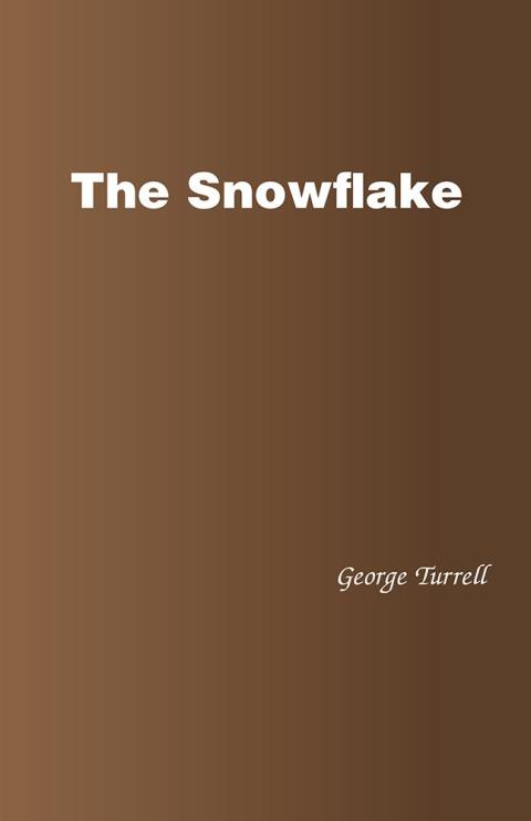 Cover image for book The Snowflake