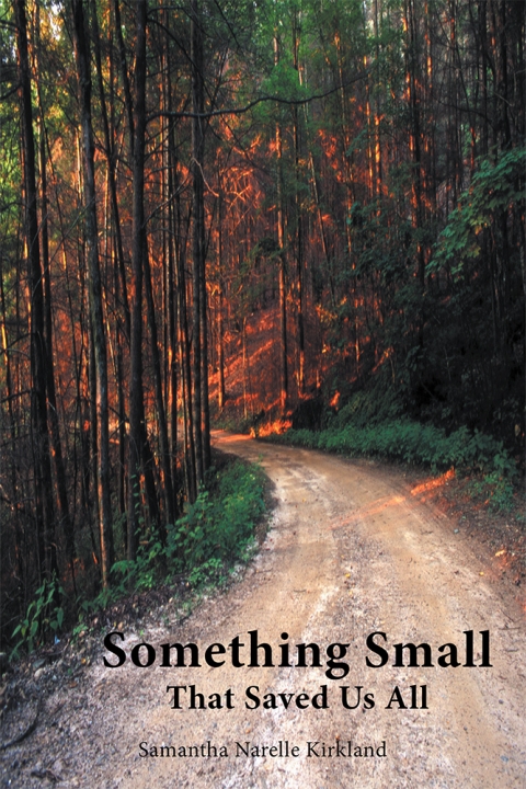 Cover image for book Something Small That Saved Us All
