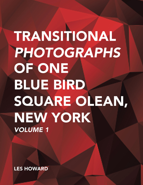 Cover image for book Transitional Photographs of One Blue Bird Square Olean, New York