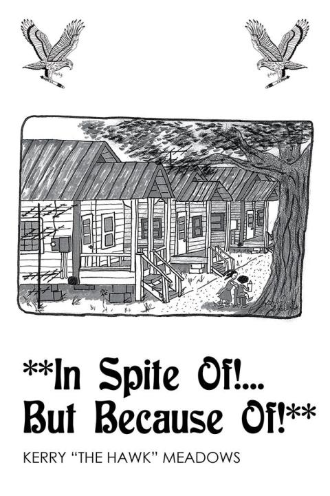 Cover image for book In Spite Of! . . . but Because Of!