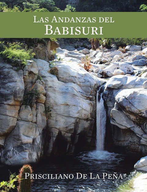 Cover image for book Las Andanzas Del Babisuri