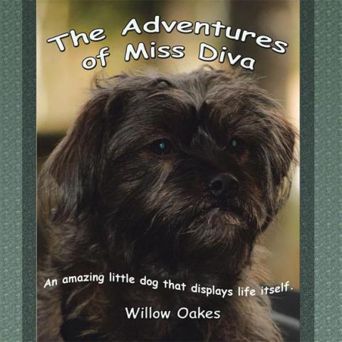 Cover image for book The Adventures of Miss Diva