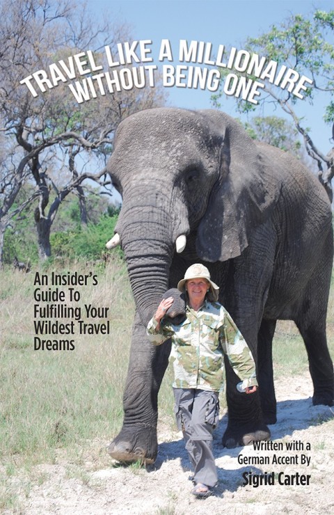 Cover image for book Travel Like a Millionaire Without Being One