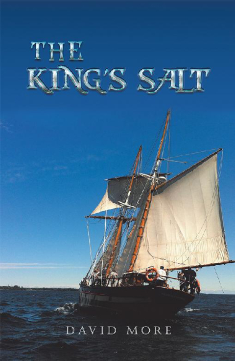 Cover image for book The King's Salt