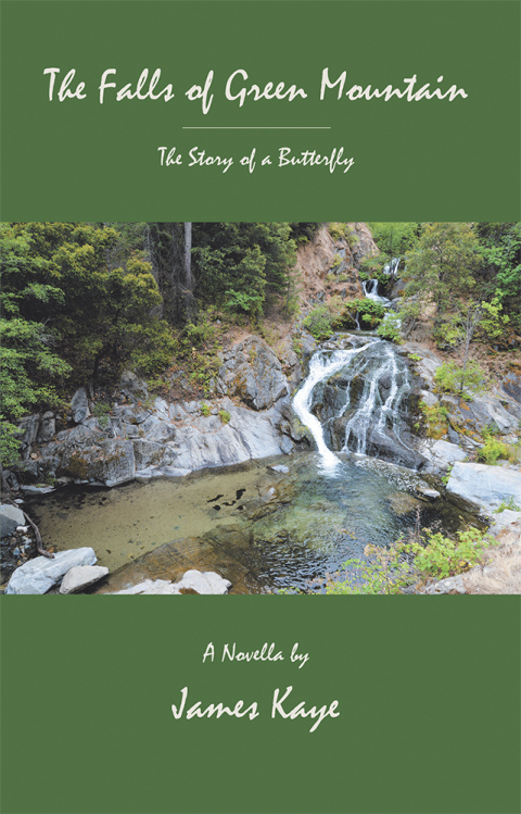 Cover image for book The Falls of Green Mountain