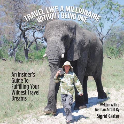 Cover image for book Travel Like a Millionaire Without Being One