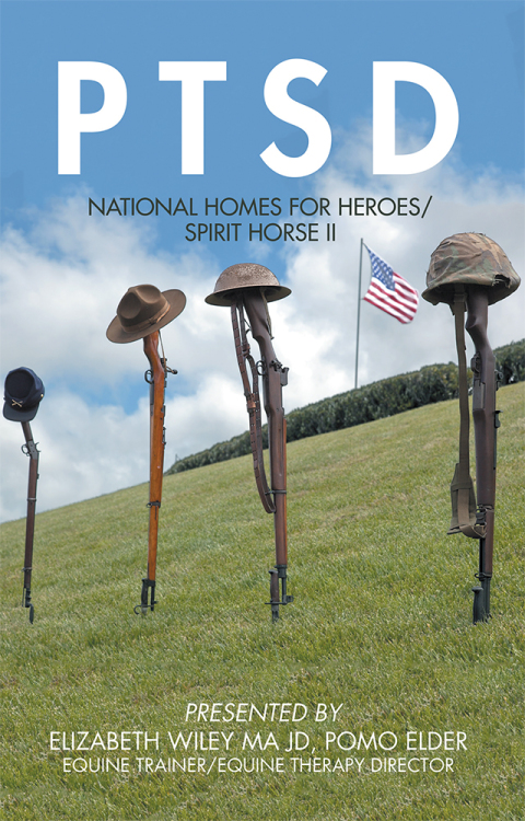 Cover image for book Ptsd