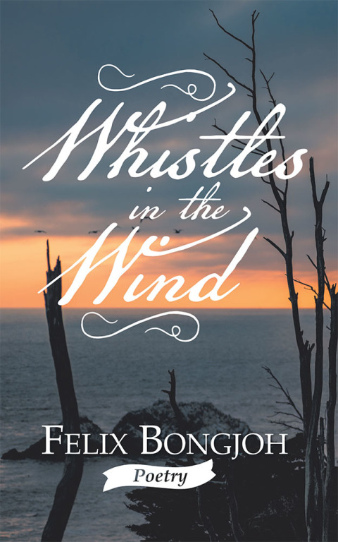Cover image for book Whistles in the Wind