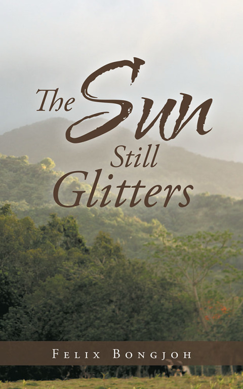 Cover image for book The Sun Still Glitters