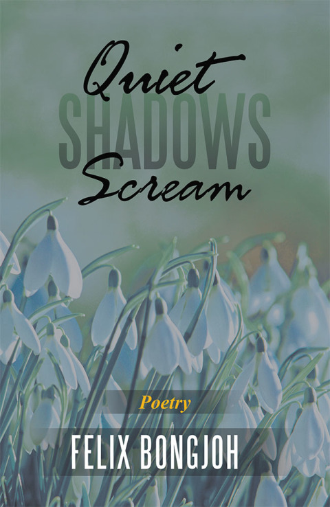 Cover image for book Quiet Shadows Scream