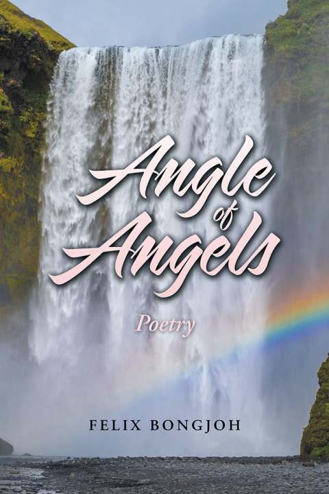 Cover image for book Angle of Angels