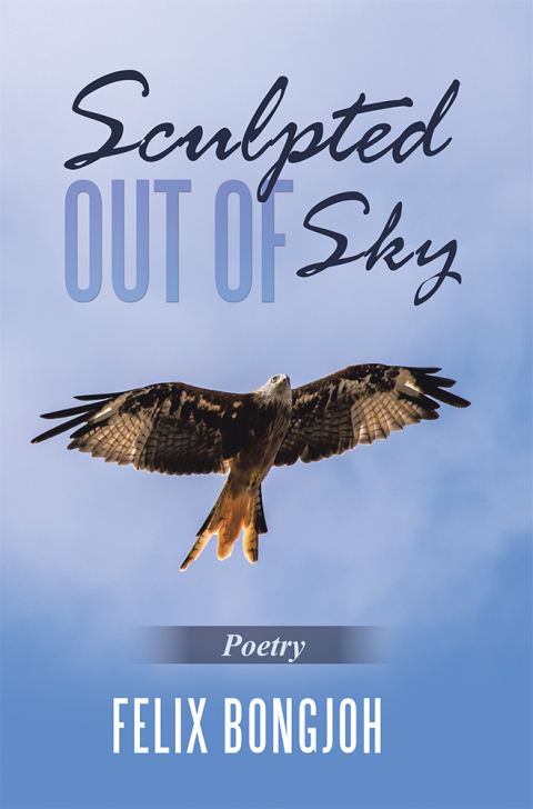 Cover image for book Sculpted out of Sky