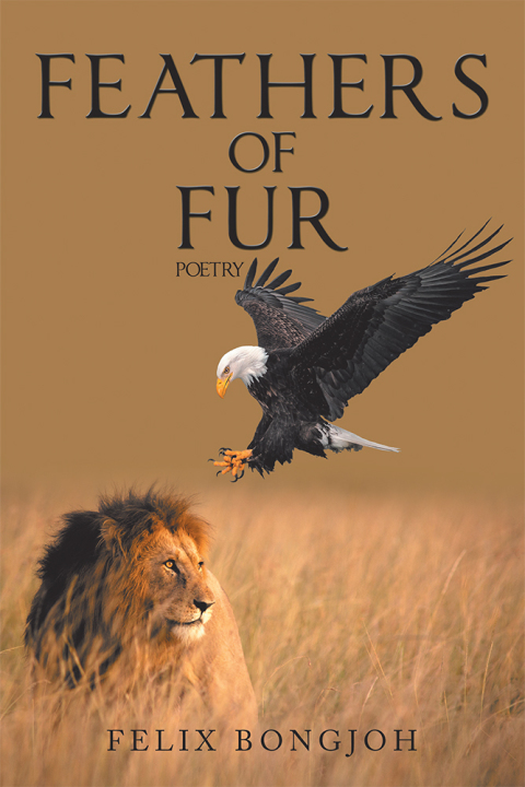 Cover image for book Feathers of Fur