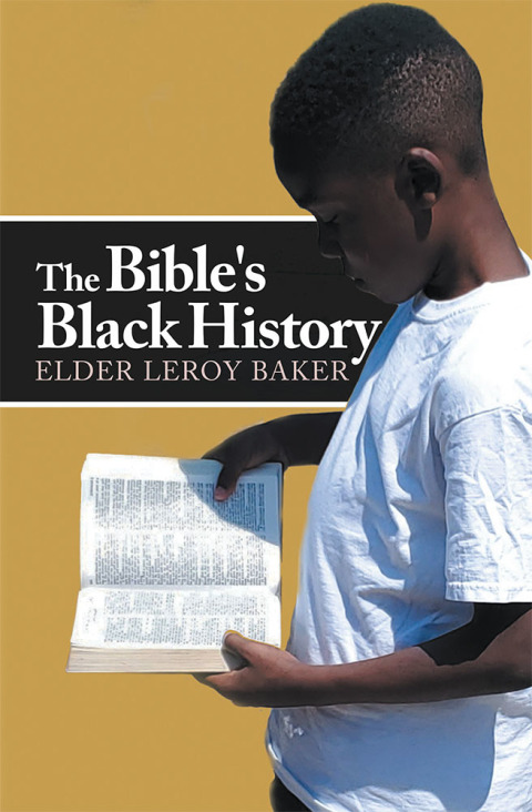 Cover image for book The Bible's Black History