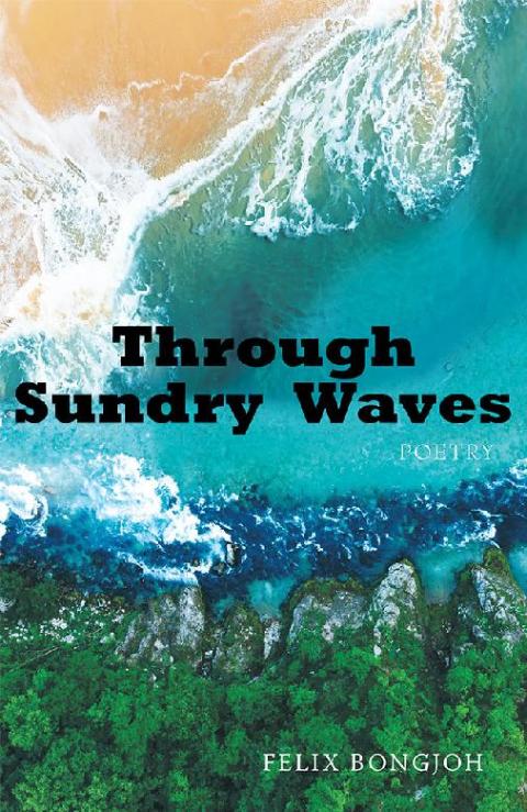 Cover image for book Through Sundry Waves