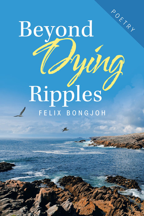 Cover image for book Beyond Dying Ripples