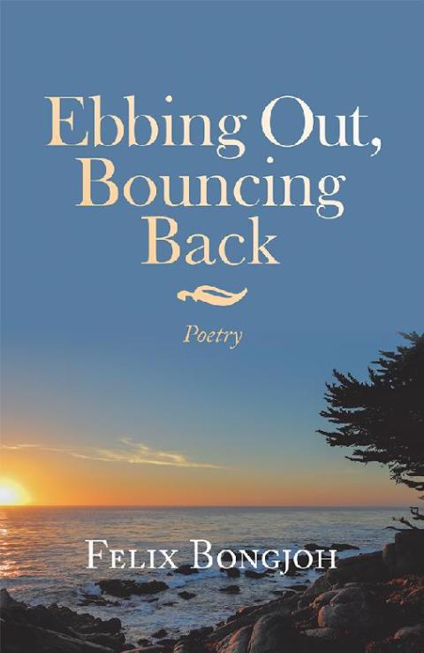 Cover image for book Ebbing Out, Bouncing Back