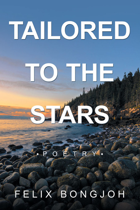 Cover image for book Tailored to the Stars