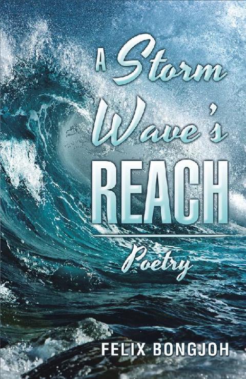 Cover image for book A Storm Wave's Reach
